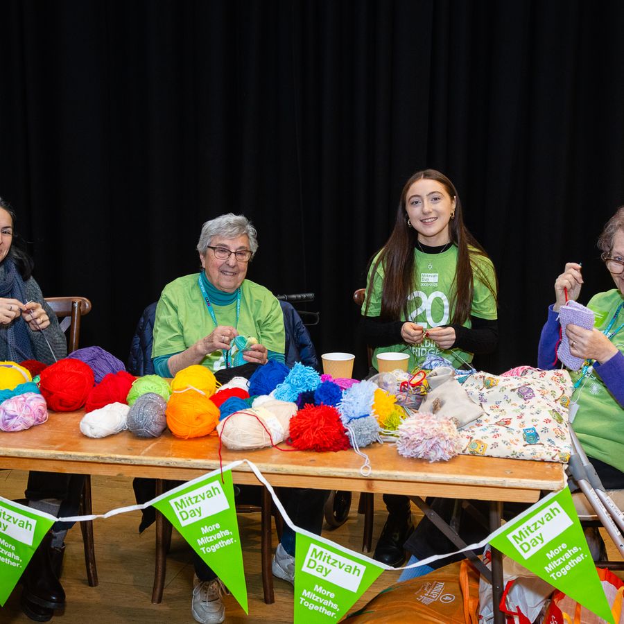 Mitzvah Day